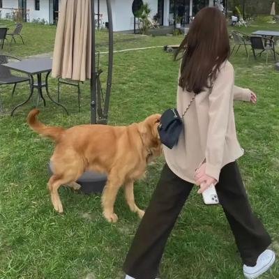 风水
